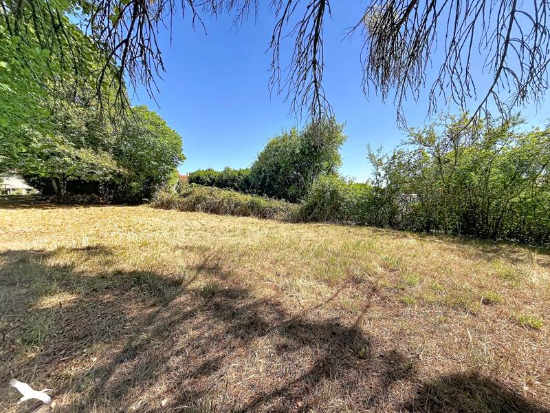 Vente Terrain ST SEVERIN - -850 m² - (16390)