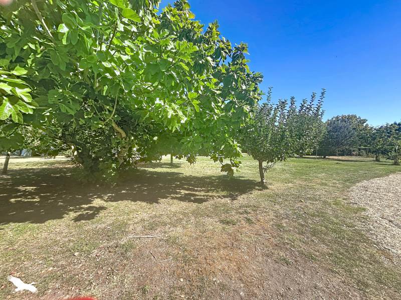 Vente Maison Montmoreau - 7 pièces -240 m² - (16190)