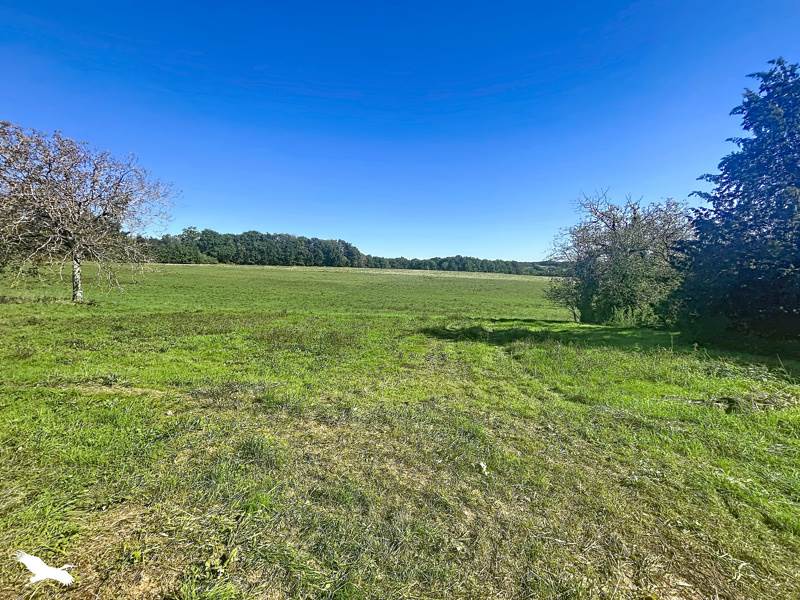 Vente Maison Montmoreau - 4 pièces -130 m² - (16190)