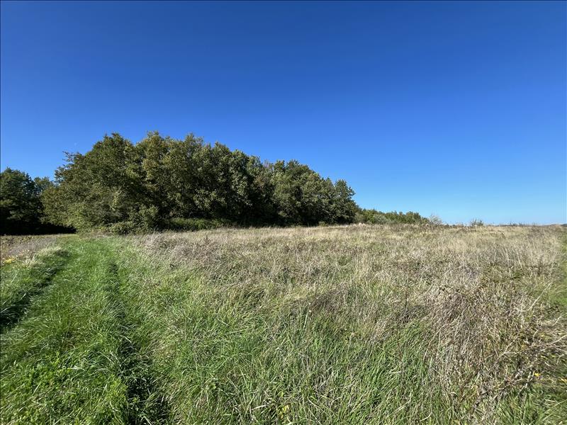 Vente Terrain BOISNE LA TUDE - -3210 m² - (16320)
