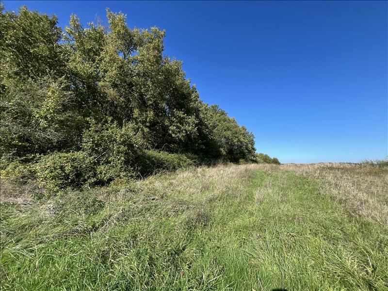 Vente Terrain BOISNE LA TUDE - -3210 m² - (16320)