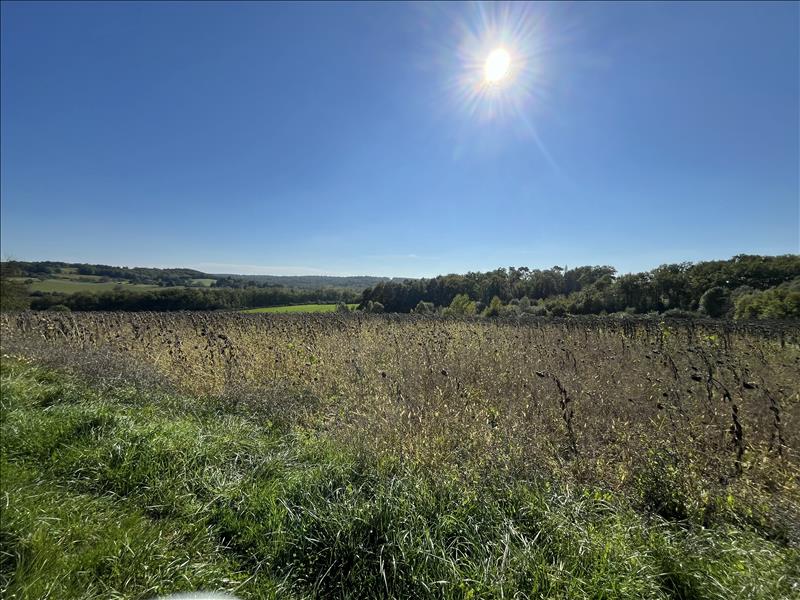 Vente Terrain BOISNE LA TUDE - -3210 m² - (16320)