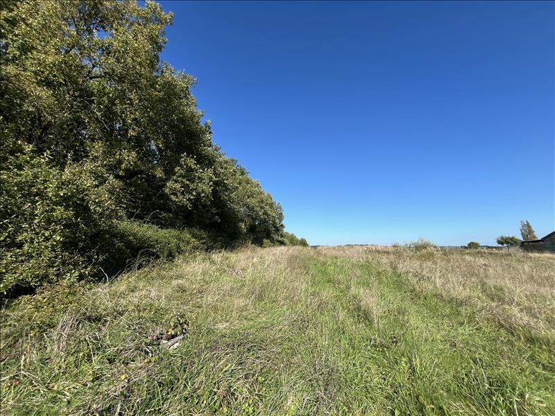 Vente Terrain BOISNE LA TUDE - -3210 m² - (16320)