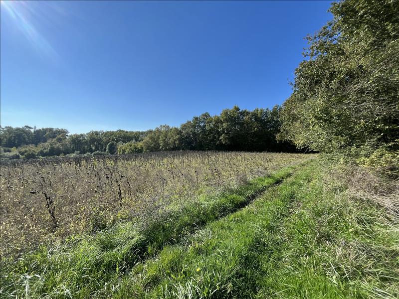 Vente Terrain BOISNE LA TUDE - -3210 m² - (16320)