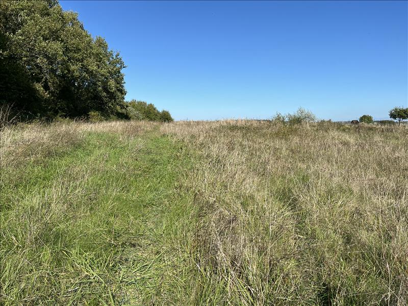 Vente Terrain BOISNE LA TUDE - -3210 m² - (16320)