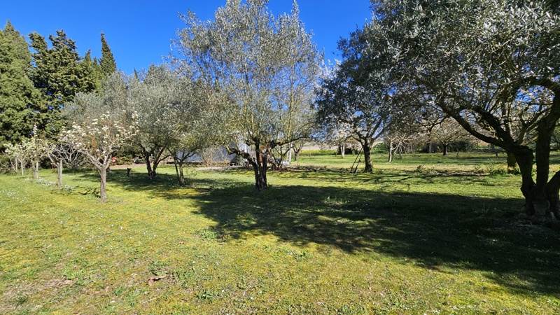 Vente Terrain LASSERRE DE PROUILLE - -2086 m² - (11270)