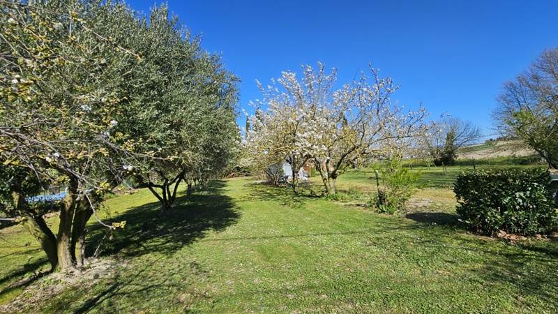 Vente Terrain LASSERRE DE PROUILLE - -2086 m² - (11270)