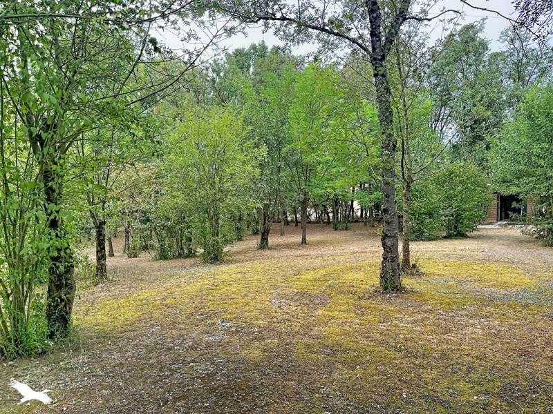 Vente Maison CASTELNAUDARY - 4 pièces -128 m² - (11400)