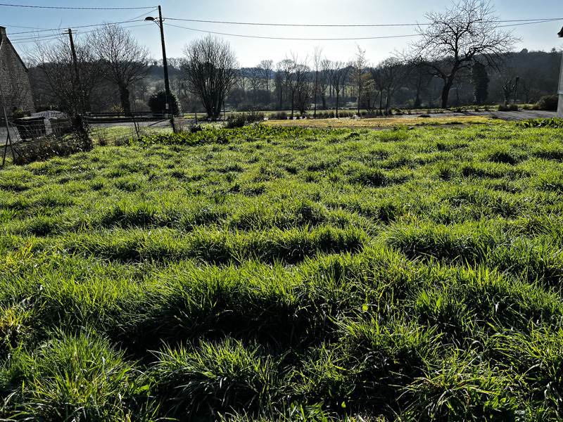 Vente Terrain KERNASCLEDEN - -514 m² - (56540)