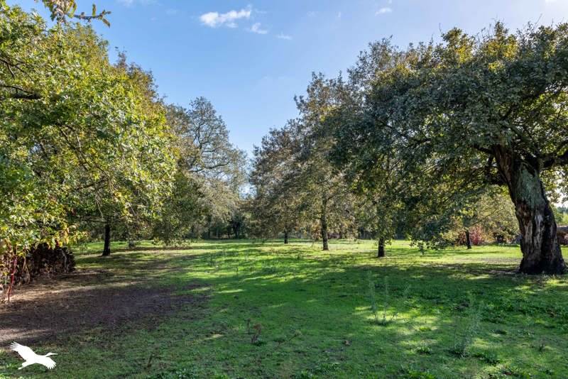 Vente Maison YGOS ST SATURNIN - 5 pièces -120 m² - (40110)