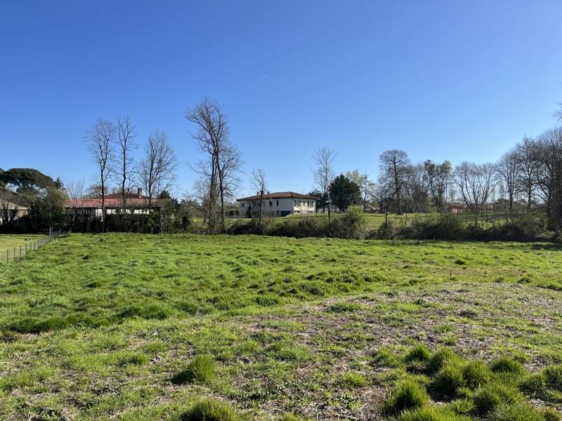Vente Terrain RION DES LANDES - -1678 m² - (40370)