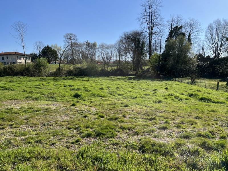 Vente Terrain RION DES LANDES - -1404 m² - (40370)