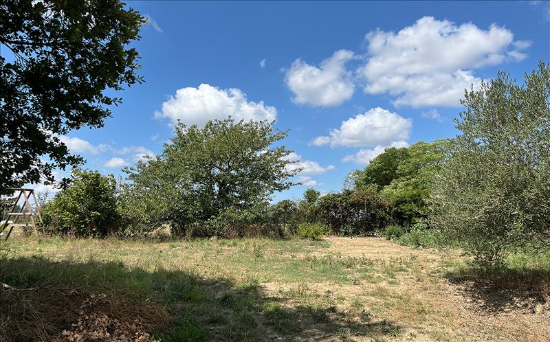Vente Terrain ROQUES - -500 m² - (31120)
