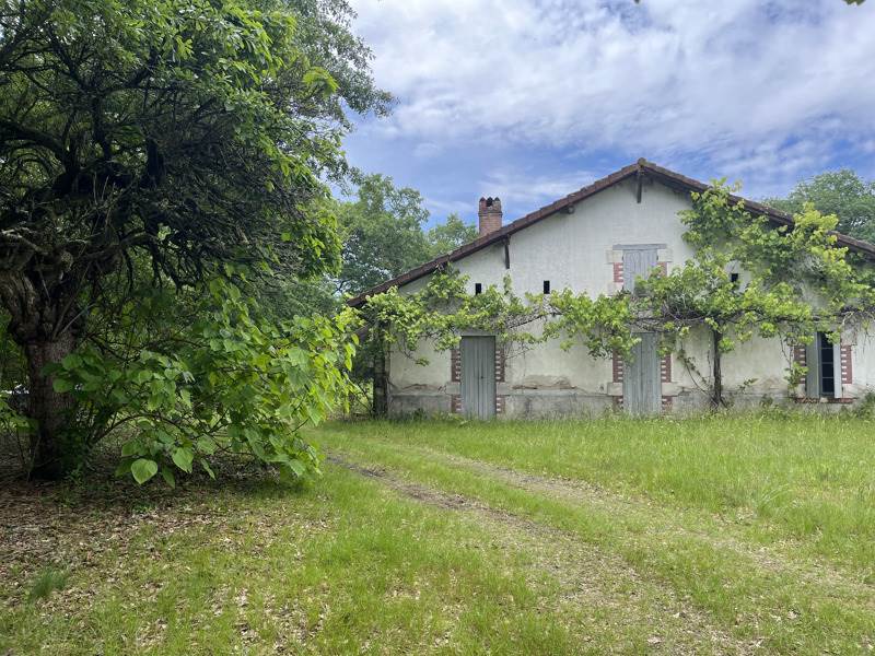 Vente Maison LENCOUACQ - 5 pièces -120 m² - (40120)