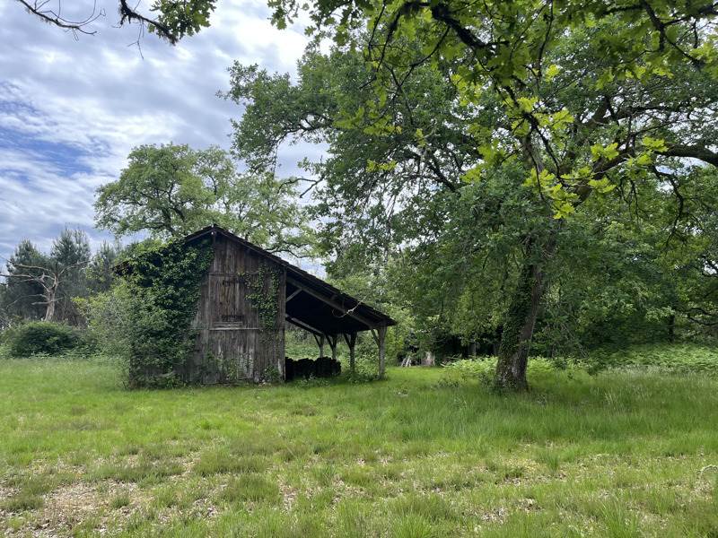 Vente Maison LENCOUACQ - 5 pièces -120 m² - (40120)