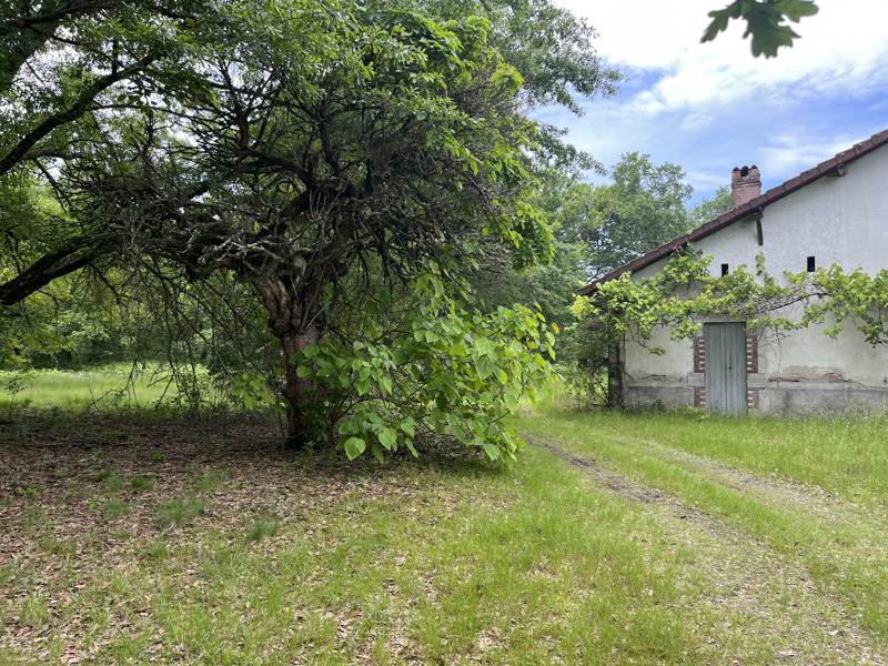 Vente Maison LENCOUACQ - 5 pièces -120 m² - (40120)