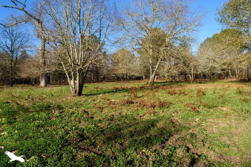Vente Maison CANENX ET REAUT - 8 pièces -312 m² - (40090)