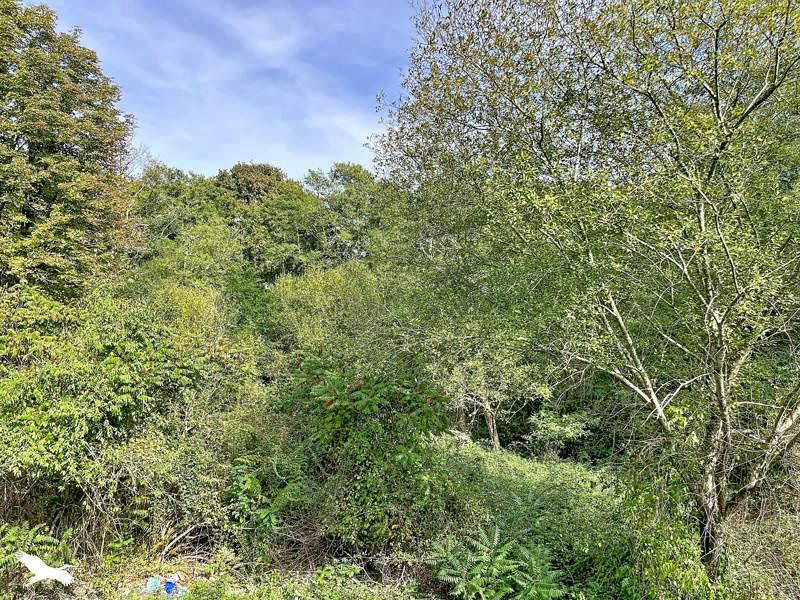 Vente Maison Le Frêche - 5 pièces -122 m² - (40190)