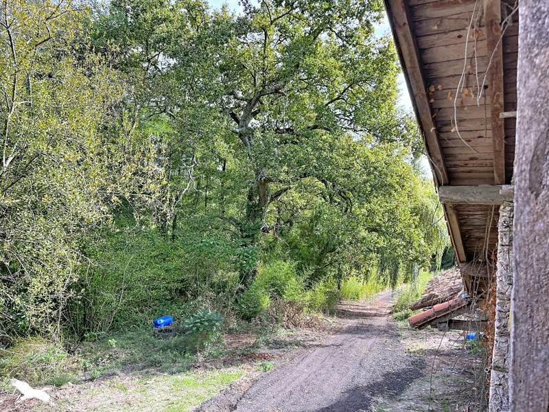 Vente Maison Le Frêche - 5 pièces -122 m² - (40190)