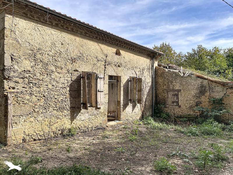 Vente Maison Le Frêche - 5 pièces -122 m² - (40190)