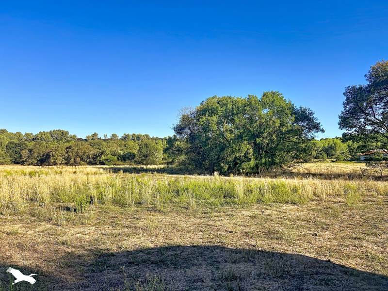 Terrain à vendre · à Teyran · 307 000 €