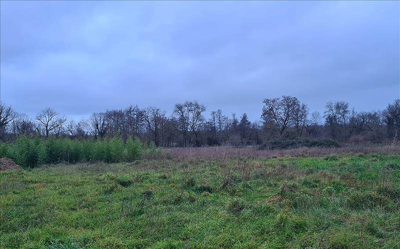 Vente Terrain MENESPLET - -3770 m² - (24700)