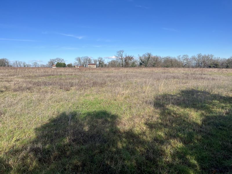 Vente Terrain ST SEVER - -2480 m² - (40500)