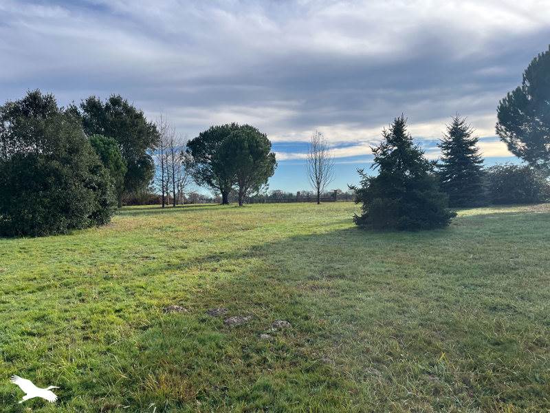 Vente Maison ST SEVER - 6 pièces -165 m² - (40500)