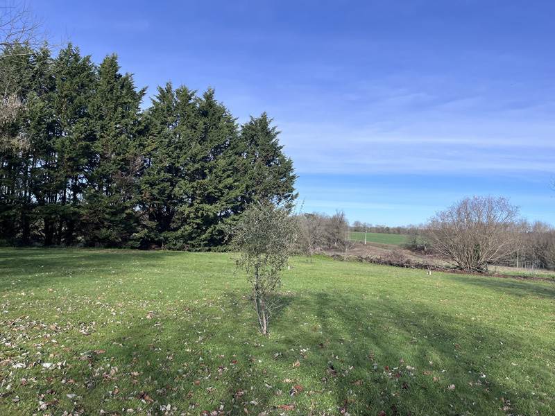 Vente Terrain FARGUES - -1300 m² - (40500)