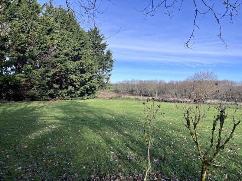 Vente Terrain FARGUES - -1300 m² - (40500)