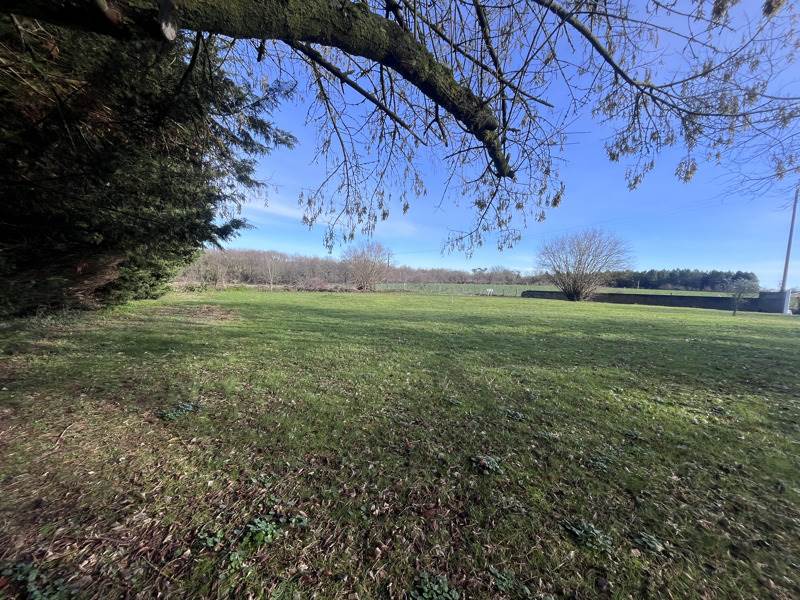 Vente Terrain FARGUES - -1300 m² - (40500)