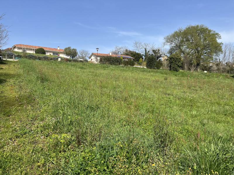 Vente Terrain MONTAUT - -1353 m² - (40500)
