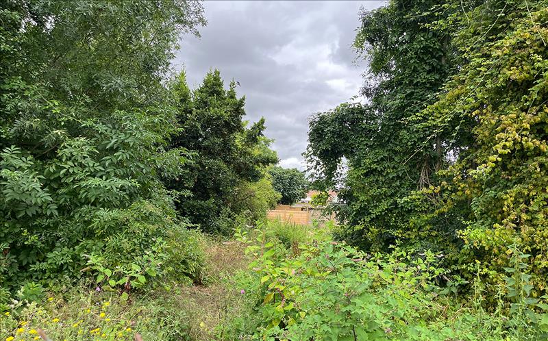 Vente Terrain AIGREFEUILLE D AUNIS 17290  493 m²