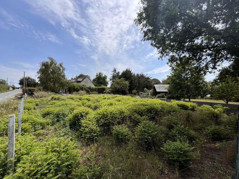 Vente Terrain MALVILLE 44260  396 m²