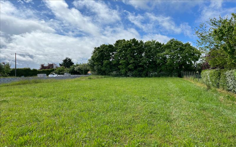 Terrain 4 pièces 1189 m²