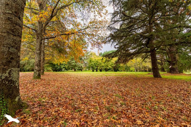 Vente Maison ST HERBLAIN - 7 pièces -160 m² - (44800)