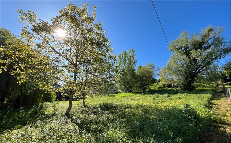 Vente Terrain NAUJAN ET POSTIAC - -2599 m² - (33420)