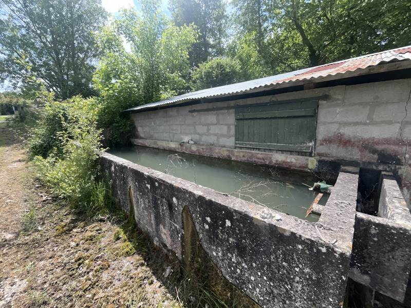 Vente Immeuble BRANNE - -  240 m² - (33420)