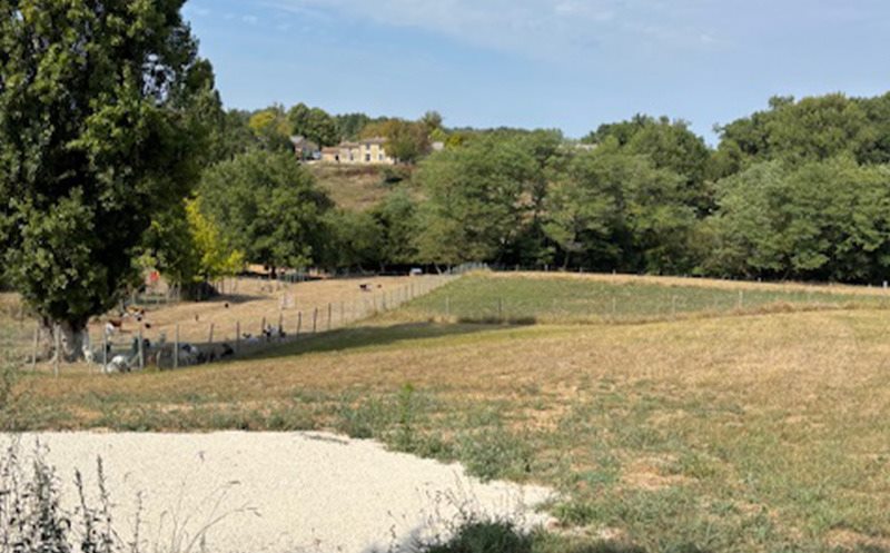 Vente Terrain NAUJAN ET POSTIAC - -1100 m² - (33420)