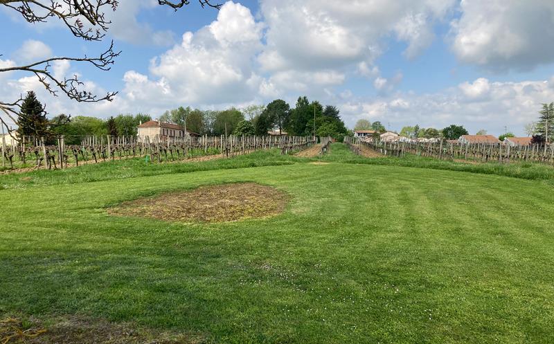 Vente Terrain RAUZAN - -1597 m² - (33420)