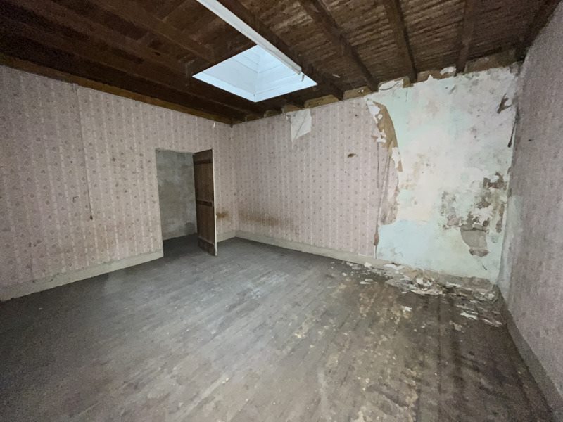 Vente Immeuble SAUVETERRE DE GUYENNE - -  250 m² - (33540)