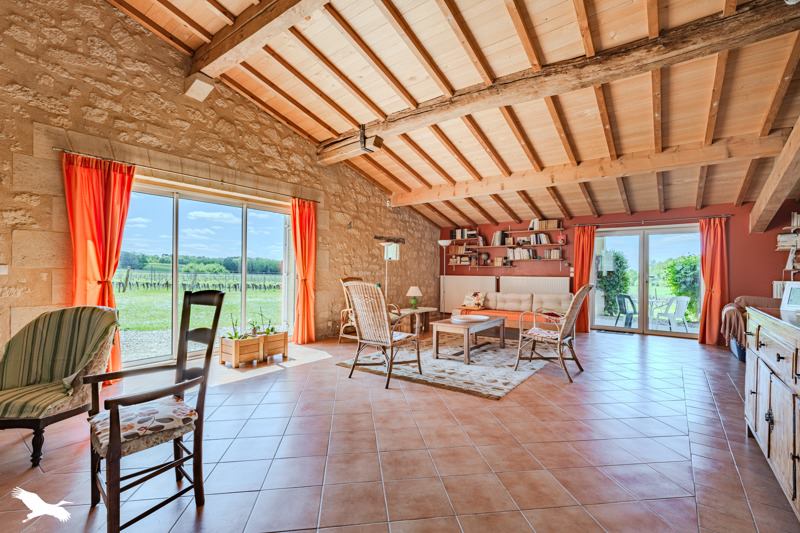 Vente Maison BLASIMON - 7 pièces -301 m² - (33540)