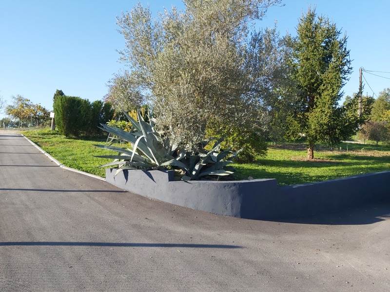 Vente Maison Saint-Aubin-de-Branne - 9 pièces -249 m² - (33420)