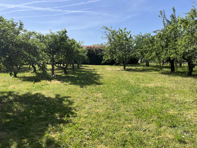 Vente Maison LA ROCHE SUR YON - 8 pièces -275 m² - (85000)