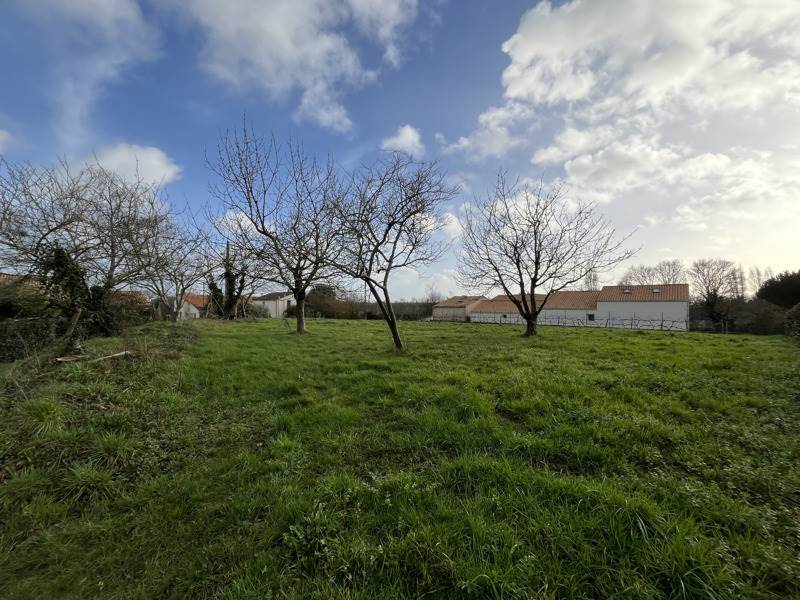 Vente Terrain LA ROCHE SUR YON - -1250 m² - (85000)