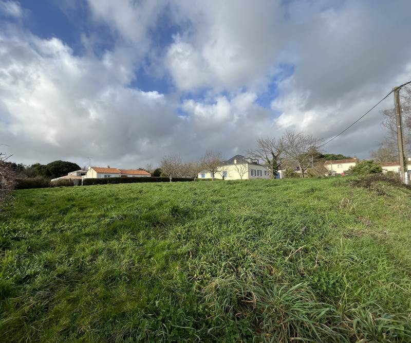Vente Terrain LA ROCHE SUR YON - -1250 m² - (85000)