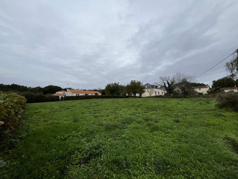 Vente Terrain La Roche-sur-Yon - -1250 m² - (85000)