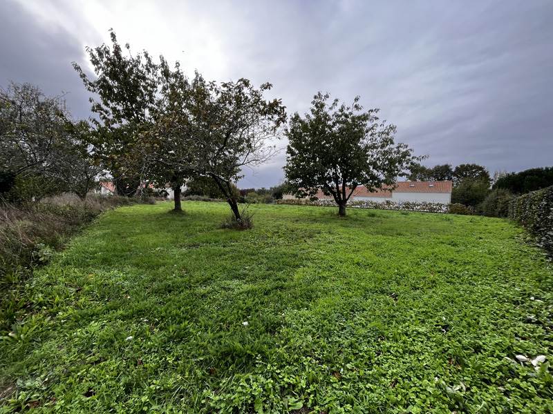 Vente Terrain La Roche-sur-Yon - -1250 m² - (85000)