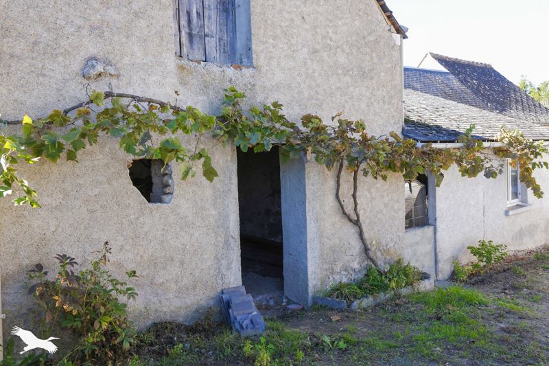 Vente Maison Esvres - 4 pièces -100 m² - (37320)
