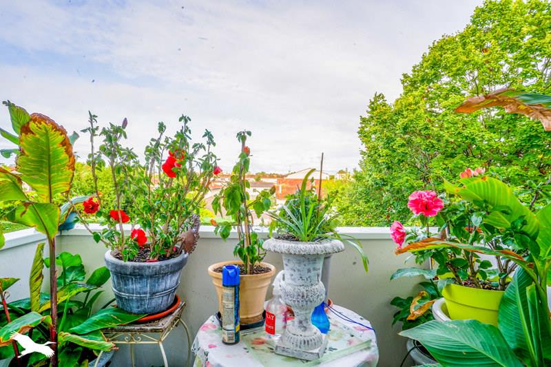 Vente Appartement BORDEAUX - 3 pièces -67 m² - (33200)